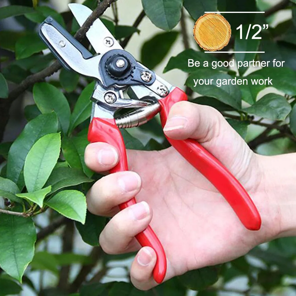 Multifunction Pruning Shears Secateurs Garden Grafting Tools Sk5 Fruit Tree Branch Cutting Scissors Fruit Picking Hand Tools P0
Multifunction Pruning Shears Secateurs Garden Grafting Tools Sk5 Fruit Tree Branch Cutting Scissors Fruit Picking Hand Tools P0