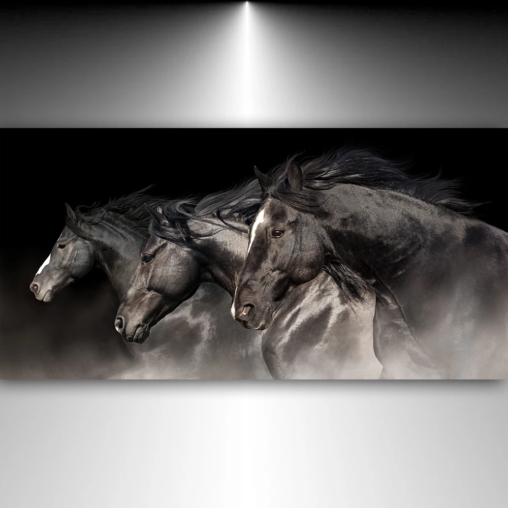 Black White horse Wall Art Canvas Painting Nordic Posters And Prints Wall Pictures For Living Room Home Decor morden print
Black White horse Wall Art Canvas Painting Nordic Posters And Prints Wall Pictures For Living Room Home Decor morden print