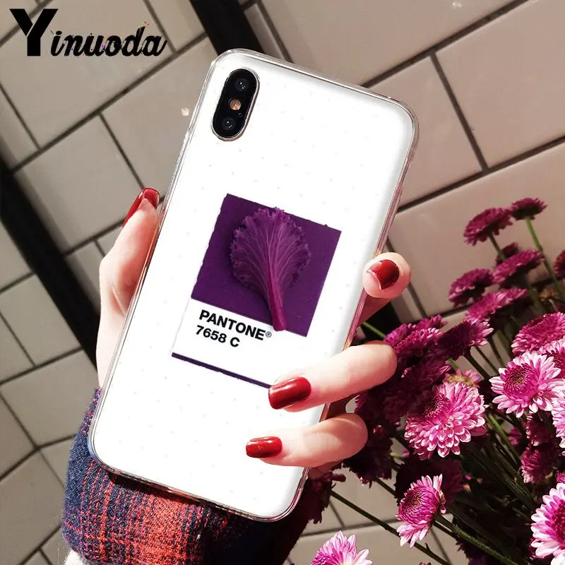Pantone Candy Color Flower