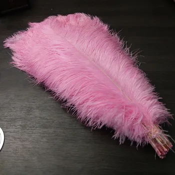 Hot 100pcs/lot 16-18inch/40-45CM Pink High Quality Wedding Decoration Party Plumage Decorative Celebration Free Shipping
Hot 100pcs/lot 16-18inch/40-45CM Pink High Quality Wedding Decoration Party Plumage Decorative Celebration Free Shipping