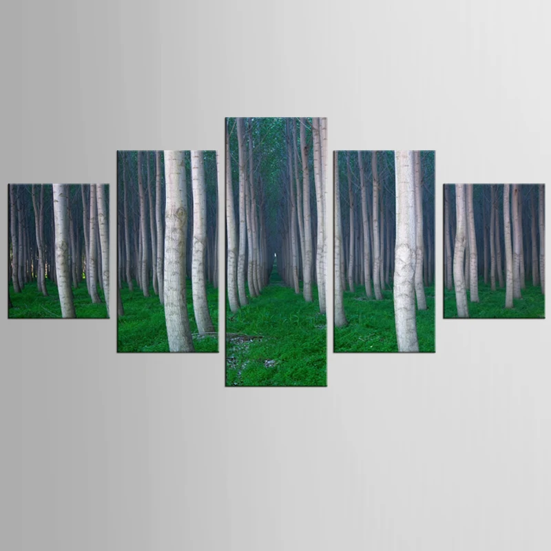 5 pieces of canvas art white birch landscape custom canvas printed on the printing wall picture home decoration FJJX-347
5 pieces of canvas art white birch landscape custom canvas printed on the printing wall picture home decoration FJJX-347