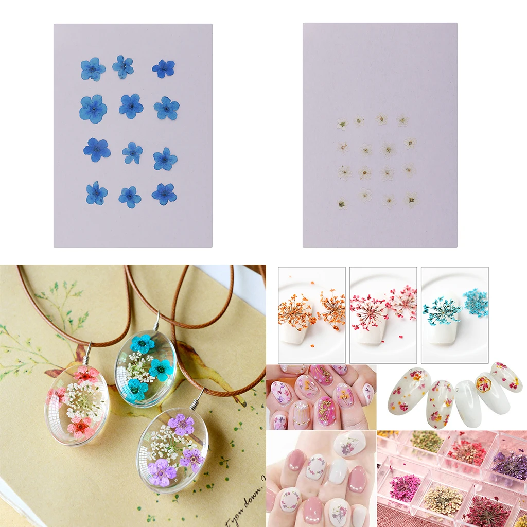 12 Pieces Real Dried Flower Forget-me-not for DIY Resin Casting Ornament Candle Making Decoration Blue White
12 Pieces Real Dried Flower Forget-me-not for DIY Resin Casting Ornament Candle Making Decoration Blue White
