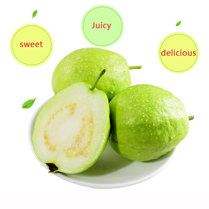 ZLKING 100PCS Sweet Guava Psidium Bonsai Crisp Fragrance Delicious Natural Organic Nutrition Health Plant Garden Fruit Perennial
ZLKING 100PCS Sweet Guava Psidium Bonsai Crisp Fragrance Delicious Natural Organic Nutrition Health Plant Garden Fruit Perennial