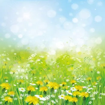 Laeacco Spring Flowers Grassland Light Bokeh Photography Backgrounds Vinyl Seamless Digital Backdrops Props For Photo Studio
Laeacco Spring Flowers Grassland Light Bokeh Photography Backgrounds Vinyl Seamless Digital Backdrops Props For Photo Studio