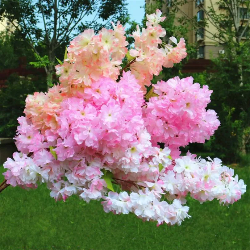 5pcs Fake Waterfall Cherry Blossom Flower Branch Begonia Sakura Tree Stem with Green Leaf for Artificial Decorative Flowers
5pcs Fake Waterfall Cherry Blossom Flower Branch Begonia Sakura Tree Stem with Green Leaf for Artificial Decorative Flowers