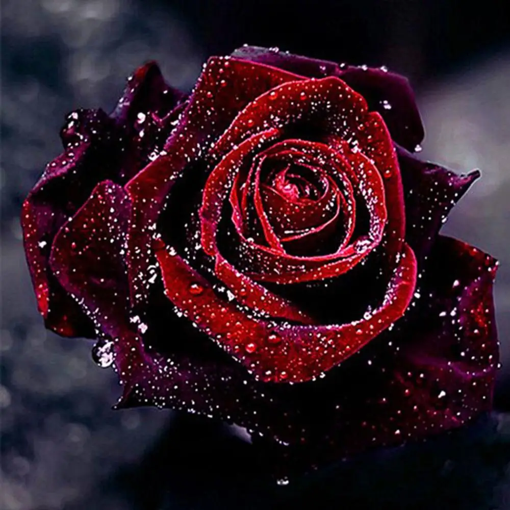 5D Diy Diamond Painting Rhinestone Cross Stitch Red Rose Wall Sticker Decoration Mosaic Embroidery Home Garden Arts Crafts BB4
5D Diy Diamond Painting Rhinestone Cross Stitch Red Rose Wall Sticker Decoration Mosaic Embroidery Home Garden Arts Crafts BB4