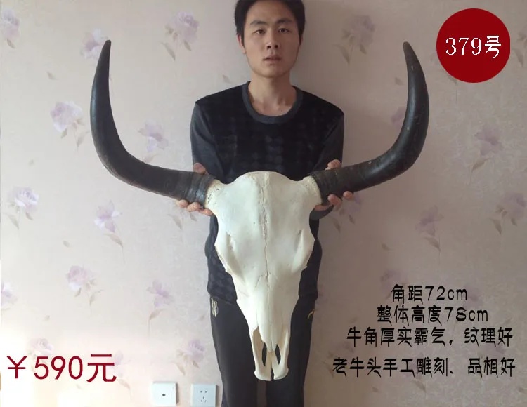 head Arts Crafts The bone ornaments handicrafts sheep bone specimens handicraft Tau
head Arts Crafts The bone ornaments handicrafts sheep bone specimens handicraft Tau