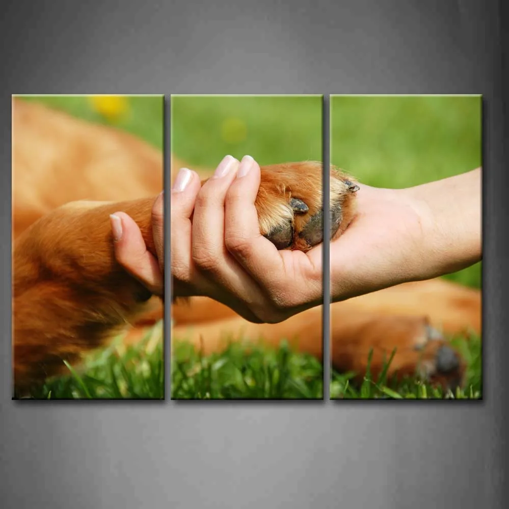 Framed Wall Art Picture Dog Human Friendship Canvas Print Artwork Animal Modern Poster With Wooden Frame For Living Room
Framed Wall Art Picture Dog Human Friendship Canvas Print Artwork Animal Modern Poster With Wooden Frame For Living Room