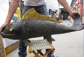 USPS to USA S0500 Folk Classic Bronze Gilt Home Auspicious Feng Shui Wealth carp cyprinoid Fish ST
USPS to USA S0500 Folk Classic Bronze Gilt Home Auspicious Feng Shui Wealth carp cyprinoid Fish ST