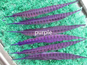 Wholesale 100 pcs beautiful purple Pheasant Feather 14-16 inches 35-40 cm free shipping
Wholesale 100 pcs beautiful purple Pheasant Feather 14-16 inches 35-40 cm free shipping