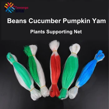 Tewango Perfect Quality Yam Cucumber Beans Plant Net Vegetable Trellis Nets Plant Support Net
Tewango Perfect Quality Yam Cucumber Beans Plant Net Vegetable Trellis Nets Plant Support Net