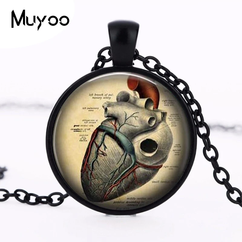Anatomical heart pendant,anatomical heart necklace, steampunk gothic necklace, science pendant, medical student gift HZ1
Anatomical heart pendant,anatomical heart necklace, steampunk gothic necklace, science pendant, medical student gift HZ1