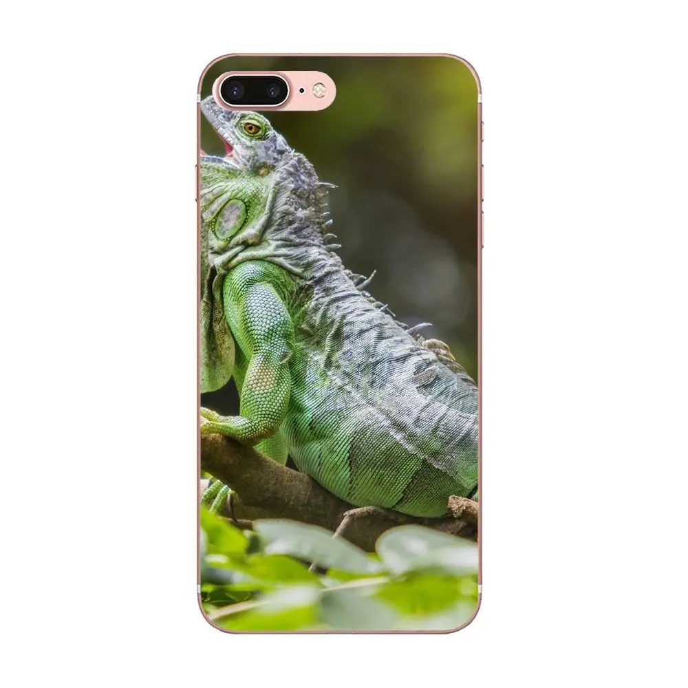 Kartun Pola Kasus Telepon Hewan Iguana Bunglon Kadal Untuk Xiaomi