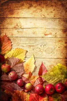 Free shipping 3x5ft vintage wooden backdrop,studio children background t83,vinyl backdrop photography background
Free shipping 3x5ft vintage wooden backdrop,studio children background t83,vinyl backdrop photography background