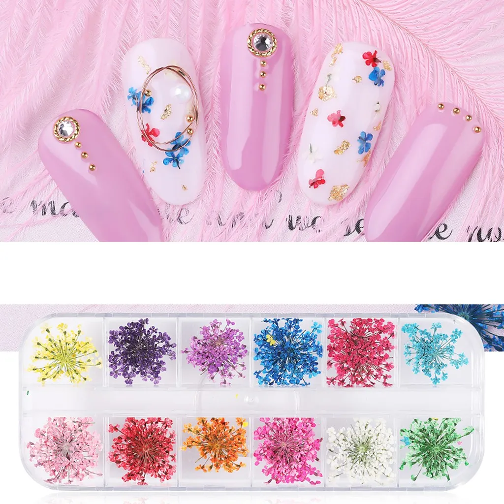 12 Colors Dried Flower Nail Art Flower Star Sunflower Daffodil Five Petals Dry Flower Nail Sticker for UV Gel Nail Art Decal #1
12 Colors Dried Flower Nail Art Flower Star Sunflower Daffodil Five Petals Dry Flower Nail Sticker for UV Gel Nail Art Decal #1