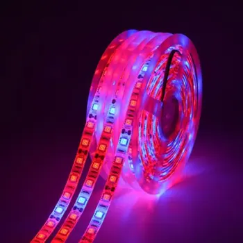5050 Waterproof 60LED Strip Light Flexible Plant Growth Light Bulbs for Plant Flower Vegetable Indoor Greenhouse Hydroponics
5050 Waterproof 60LED Strip Light Flexible Plant Growth Light Bulbs for Plant Flower Vegetable Indoor Greenhouse Hydroponics