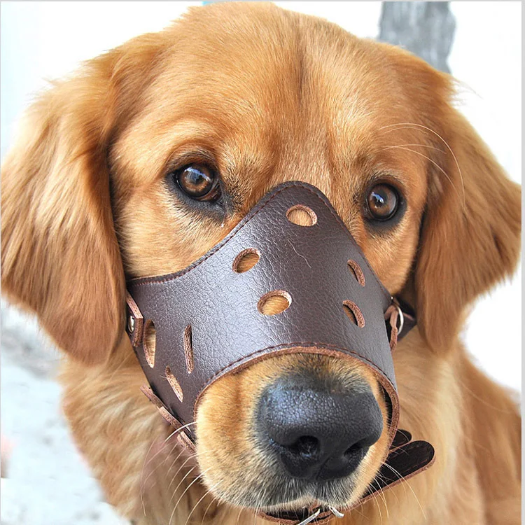 Soft PU Leather Adjustable Dog Mouth Muzzle Dog Prevention Bite Masks Anti Bark Bite Mouth Muzzle Grooming Chew Stop For dog
Soft PU Leather Adjustable Dog Mouth Muzzle Dog Prevention Bite Masks Anti Bark Bite Mouth Muzzle Grooming Chew Stop For dog