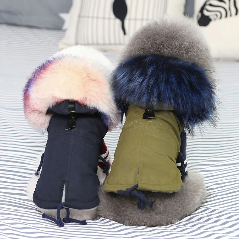 Kawaii Cat Dog Pet Clothes Clothing Chihuahua Yorkie Bomei Fashion Military Coat Jacket
Kawaii Cat Dog Pet Clothes Clothing Chihuahua Yorkie Bomei Fashion Military Coat Jacket
