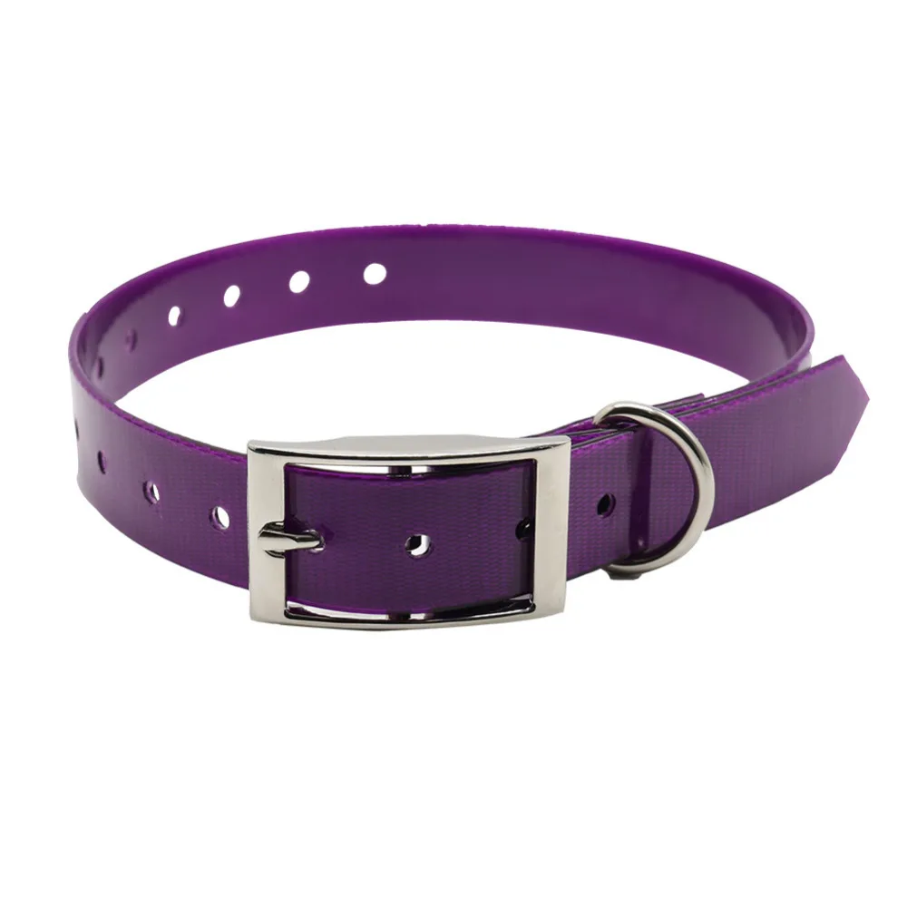 Dog Collar Image 6