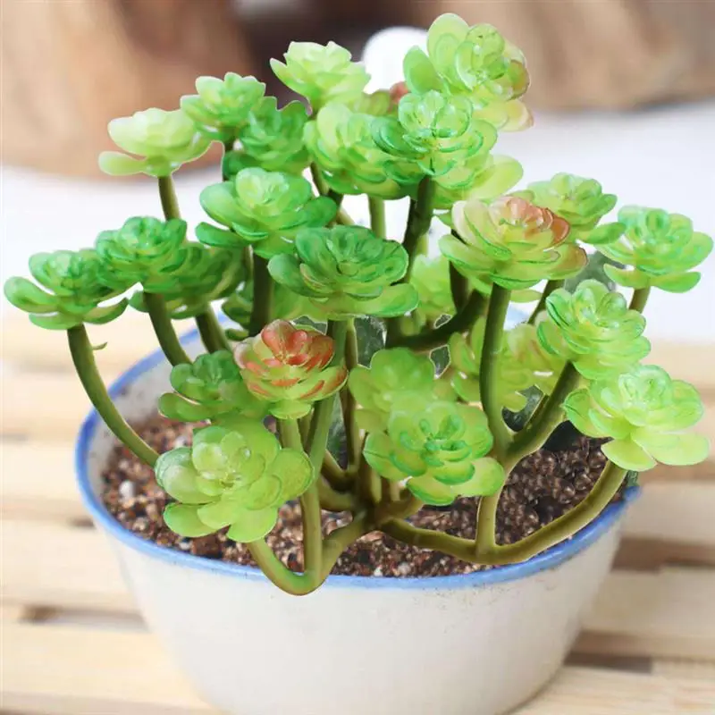 Artificial Plants Artificial Succulent DIY Decorative Fake Plant Faux Succulent Home Decorations
Artificial Plants Artificial Succulent DIY Decorative Fake Plant Faux Succulent Home Decorations