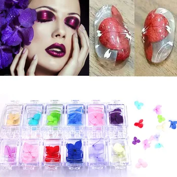 12 Colors 3D Real Petal Dry Dried Flower Sticker UV Gel Nail Art Polish Tips Decoration DIY Manicure Salon Accessories With Case
12 Colors 3D Real Petal Dry Dried Flower Sticker UV Gel Nail Art Polish Tips Decoration DIY Manicure Salon Accessories With Case