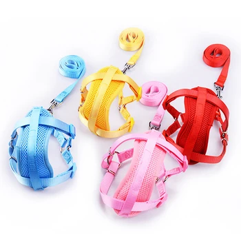Chest Plate Fit Car Samll Dog Harness with Seatbelt Tether Padded Nylon Mesh Walking Harness Leashes Chain 10A
Chest Plate Fit Car Samll Dog Harness with Seatbelt Tether Padded Nylon Mesh Walking Harness Leashes Chain 10A