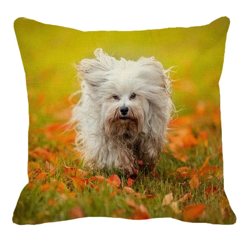 XUNYU Cute Havanese Pattern Linen Pillow Case Home Sofa Square Pillow Cover Dog Cushion Cover 45X45cm AC107
XUNYU Cute Havanese Pattern Linen Pillow Case Home Sofa Square Pillow Cover Dog Cushion Cover 45X45cm AC107