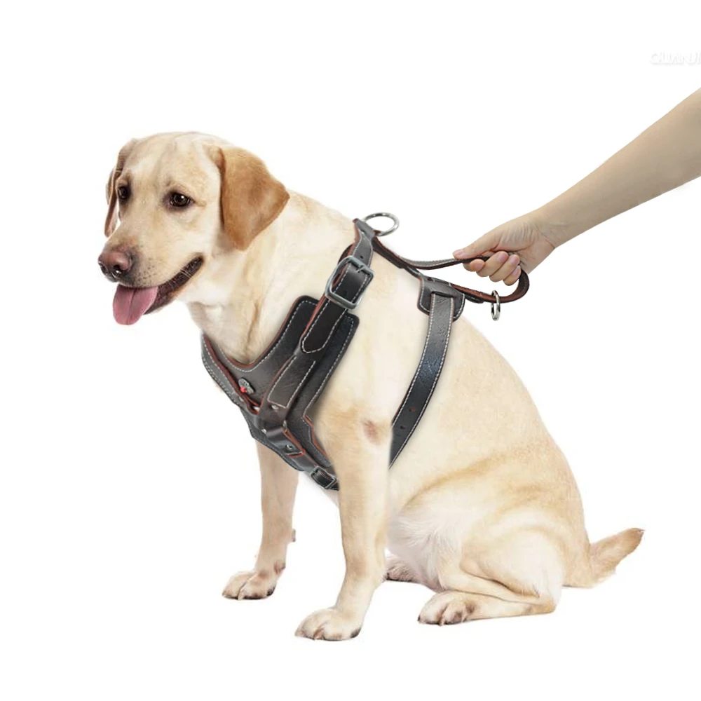 Close-up of the quick control handle on the leather dog harness.