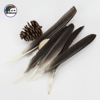 11.2-14 Inch(28-35 cm)Wholesale High Quality Natural Dark Color Pheasant Wings Feather for Decorations
11.2-14 Inch(28-35 cm)Wholesale High Quality Natural Dark Color Pheasant Wings Feather for Decorations