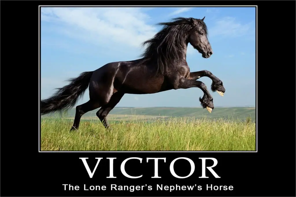 DIY frame VICTOR Inspirational MOTIVATIONAL Horse Animal posters and