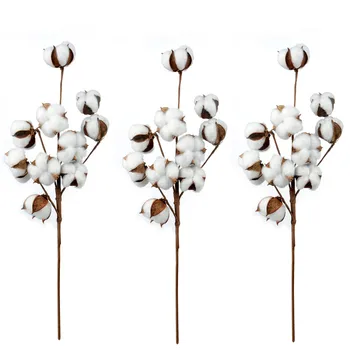 Natural White Cotton Stems Farmhouse Style Display Filler - Home Floral Decorations Cotton Stem Wreath Garland Real Decor
Natural White Cotton Stems Farmhouse Style Display Filler - Home Floral Decorations Cotton Stem Wreath Garland Real Decor