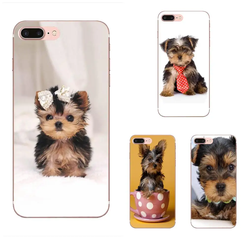 Protector Puppies Yorkie Dog For LG Nexus 5 5X G2 G3 mini spirit G4 G5 G6 K4 K7 K8 K10 2017 V10 V20 V30 Stylus Soft Cover Case
Protector Puppies Yorkie Dog For LG Nexus 5 5X G2 G3 mini spirit G4 G5 G6 K4 K7 K8 K10 2017 V10 V20 V30 Stylus Soft Cover Case