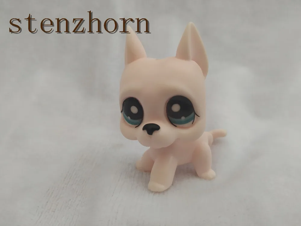 Bjd-dog коллекция настоящая маленькая короткая шерсть Кот кокер-спаниель такса