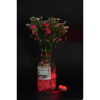 12pcs/Lot Replaceable Battery Long-Losting Floralyte 3 LED Light for Party Favor Decorative
12pcs/Lot Replaceable Battery Long-Losting Floralyte 3 LED Light for Party Favor Decorative