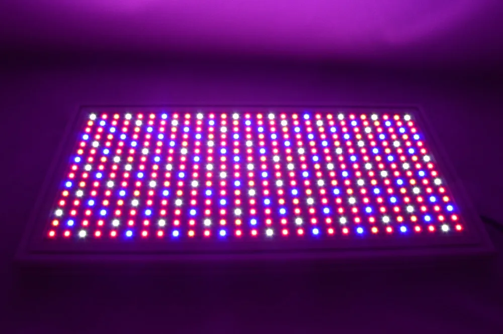 47W LED grow light panel for tissue culture plantlets PLT-III the plant factory hydroponics system vegetables flowers fruits...
47W LED grow light panel for tissue culture plantlets PLT-III the plant factory hydroponics system vegetables flowers fruits...