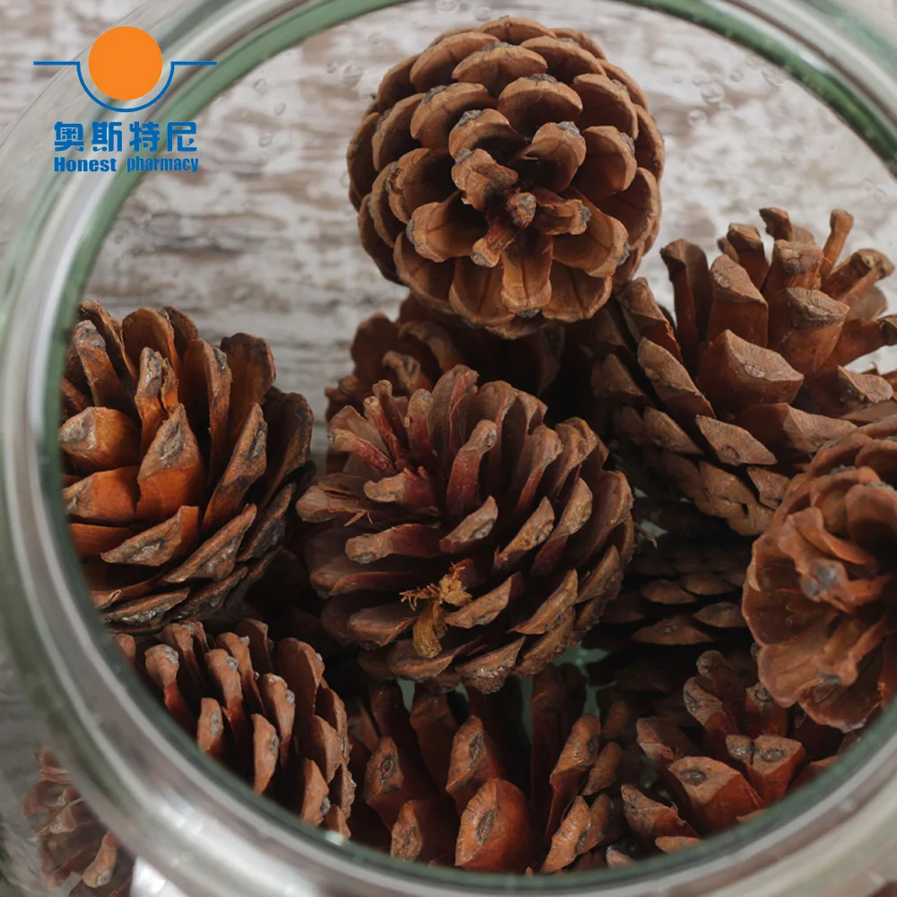 80pcs 2-3cm naturally pine cones with silver sting hanging for Christmas decoration
80pcs 2-3cm naturally pine cones with silver sting hanging for Christmas decoration