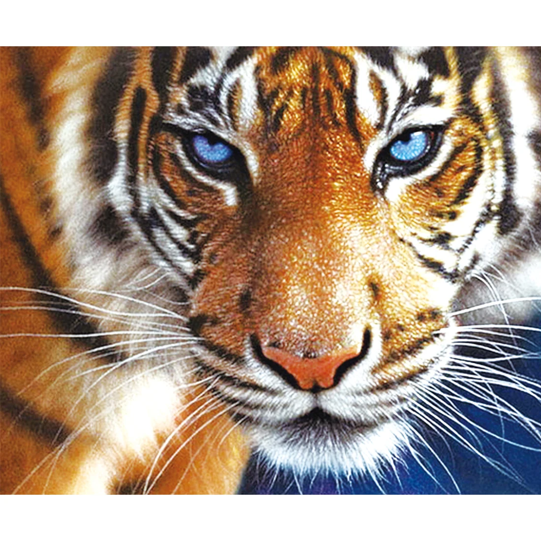 Pop DIY 5D Diamond Mosaic Lion tiger Diamond Painting Cross Stitch Kits Diamond Embroidery Patterns Rhinestones Arts
Pop DIY 5D Diamond Mosaic Lion tiger Diamond Painting Cross Stitch Kits Diamond Embroidery Patterns Rhinestones Arts