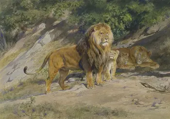 2019 HOME OFFICE WALL Decor ART # Rosa Bonheur The King watches animal print art painting on canvas-- free shipping
2019 HOME OFFICE WALL Decor ART # Rosa Bonheur The King watches animal print art painting on canvas-- free shipping