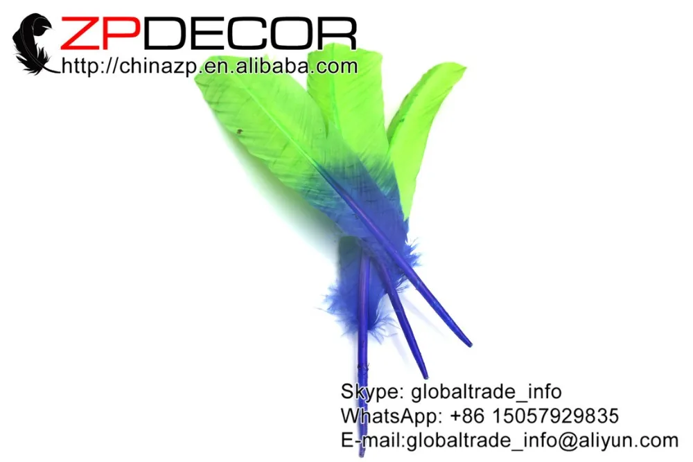 Blue and Purple Wild Turkey Wing Feather (1)