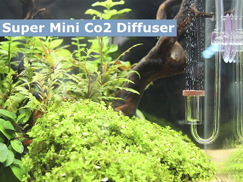 acrylic co2 non return diffuser atomizer with high quality nano ceramic mist maker for aquarium co2 system
acrylic co2 non return diffuser atomizer with high quality nano ceramic mist maker for aquarium co2 system