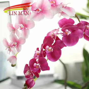 Free Shipping 10 Pcs/Lot Silk Artifiial Flowers 9 Heads Orchid Butterfly Flowers for Wedding Home Decoration
Free Shipping 10 Pcs/Lot Silk Artifiial Flowers 9 Heads Orchid Butterfly Flowers for Wedding Home Decoration