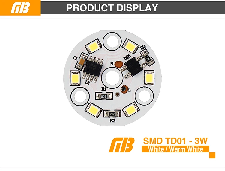 LED Down Light_TD-01 Chip_02