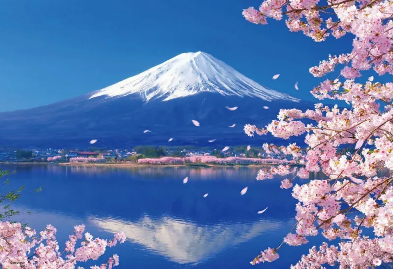 Cherry Blossoms under Mount Fuji DIY Painting By Numbers Pigment Brush Painting Art Hand-painted Creative Digital Oil Painting
Cherry Blossoms under Mount Fuji DIY Painting By Numbers Pigment Brush Painting Art Hand-painted Creative Digital Oil Painting