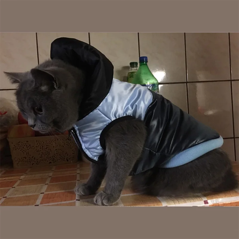 Warm Cat Coat Jacket Suit Winter Pet Clothes Soft Cotton Cat Clothes For Small Cat Vest As A Harness
Warm Cat Coat Jacket Suit Winter Pet Clothes Soft Cotton Cat Clothes For Small Cat Vest As A Harness