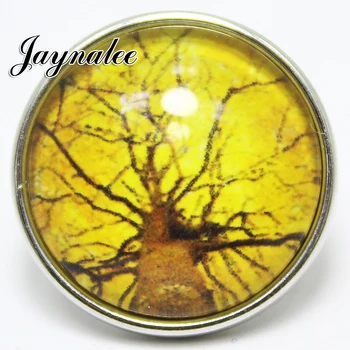Hot jayna ginger snaps jewelry 20mm metal snaps glass cover charm charms fit snap bracelets DIY charms jewelry GS1312099
Hot jayna ginger snaps jewelry 20mm metal snaps glass cover charm charms fit snap bracelets DIY charms jewelry GS1312099