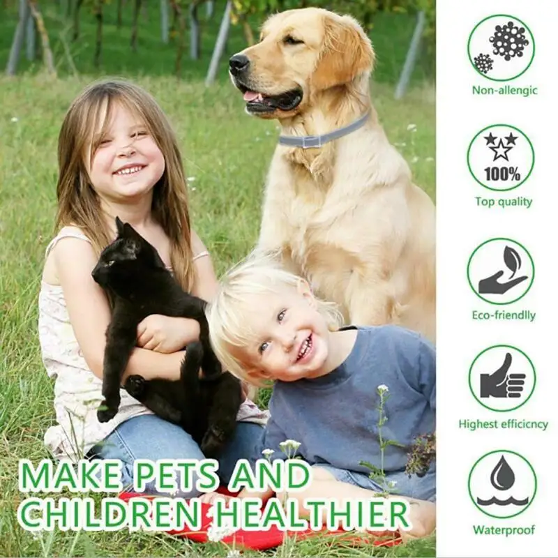 fleadoctor petpoint with kids