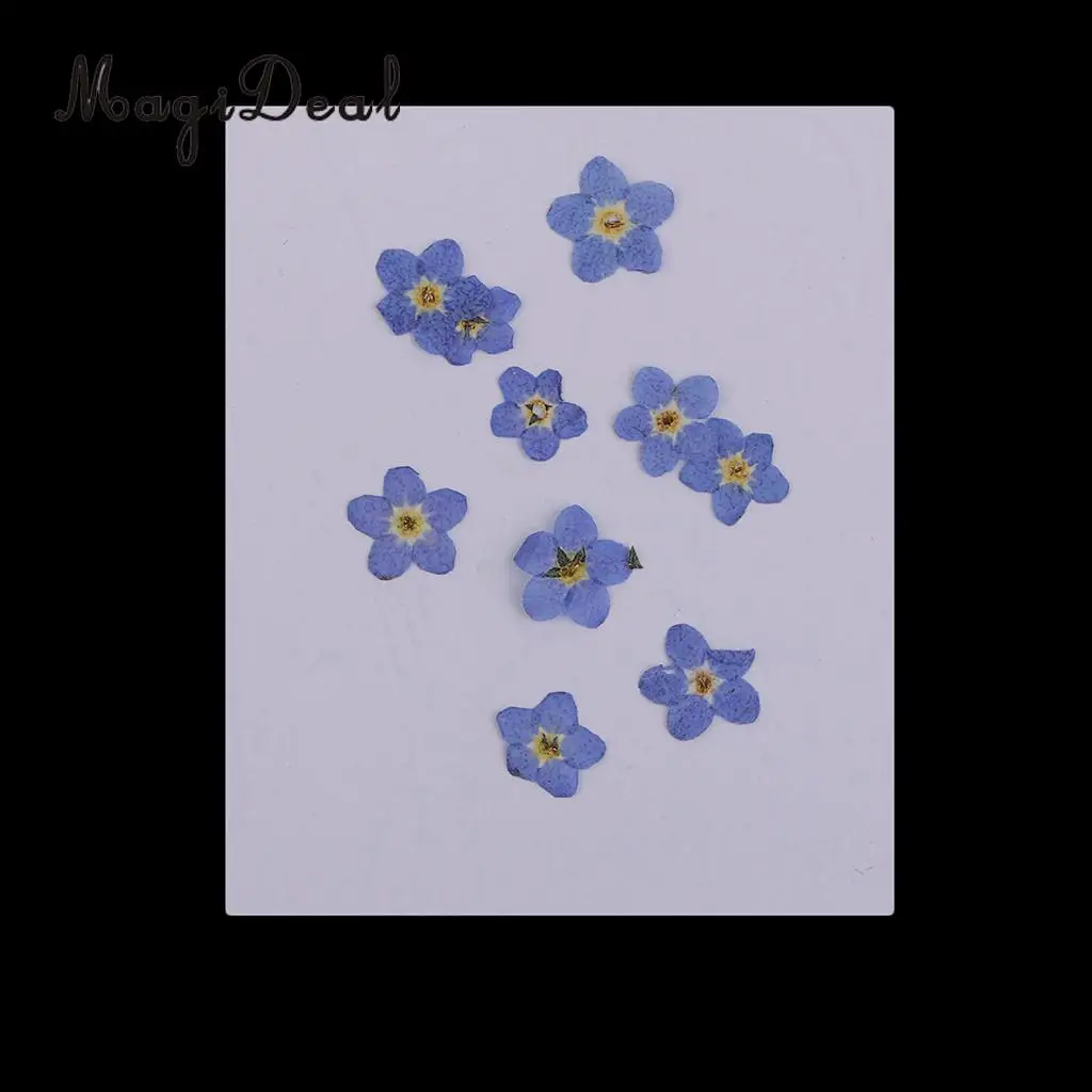 22pcs Mini Natural Dried Flowers Verbena Forget-me-not Embellishment for DIY Pendants Charms Nail Art Decoration
