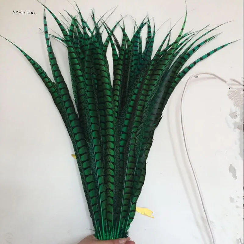10pcs green natural Lady Amherst Pheasant Feathers 65-75cm/26-30inch Wedding Accessories Stage performance diy Carnival diy
10pcs green natural Lady Amherst Pheasant Feathers 65-75cm/26-30inch Wedding Accessories Stage performance diy Carnival diy