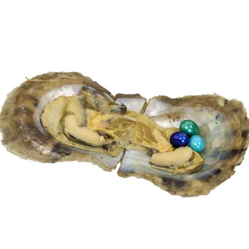 Live party show Wholesale About Mixed Color Triplets set Pearl in Natural Akoya Oyster Vacuum Packaging great present AO033
Live party show Wholesale About Mixed Color Triplets set Pearl in Natural Akoya Oyster Vacuum Packaging great present AO033