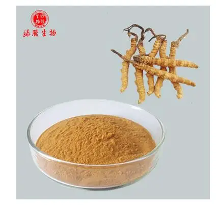 new Chinese caterpillar fungus extract Cordyceps polysaccharide 10% 30% cordyceps mycelium powder
new Chinese caterpillar fungus extract Cordyceps polysaccharide 10% 30% cordyceps mycelium powder